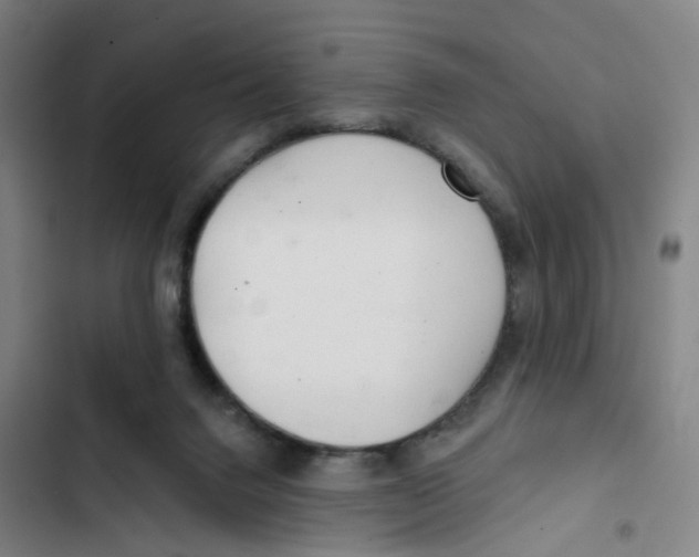 X0000102360072200808291235