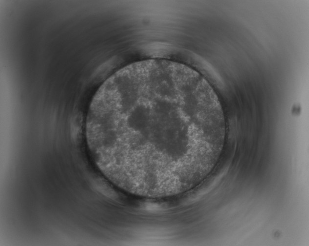 X0000102360073200808291235