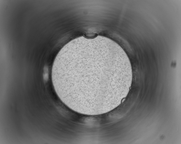 X0000102360075200808291235