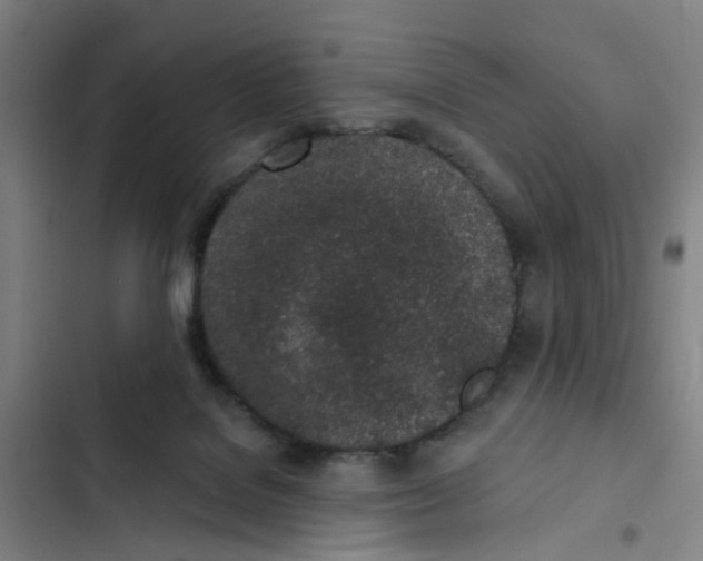 X0000102360076200808291235