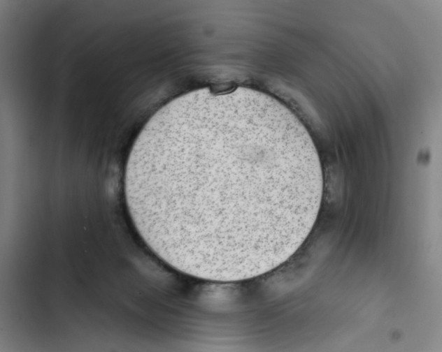 X0000102360077200808291235