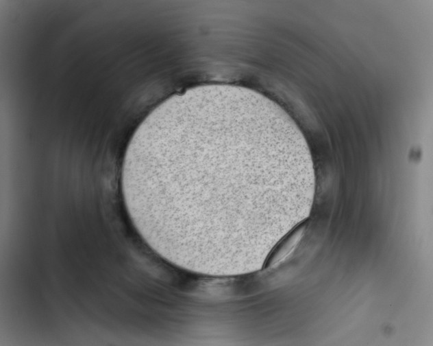 X0000102360078200808291235