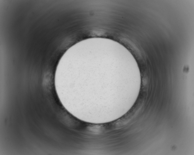 X0000102360079200808291235