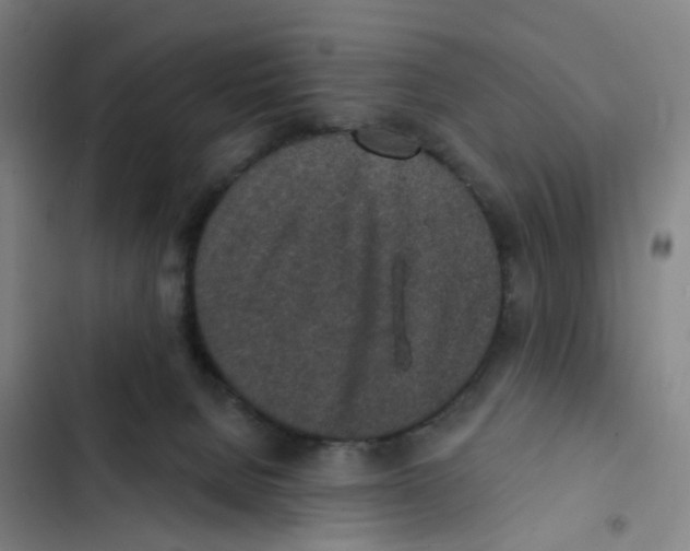 X0000102360080200808291235