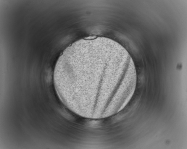 X0000102360081200808291235