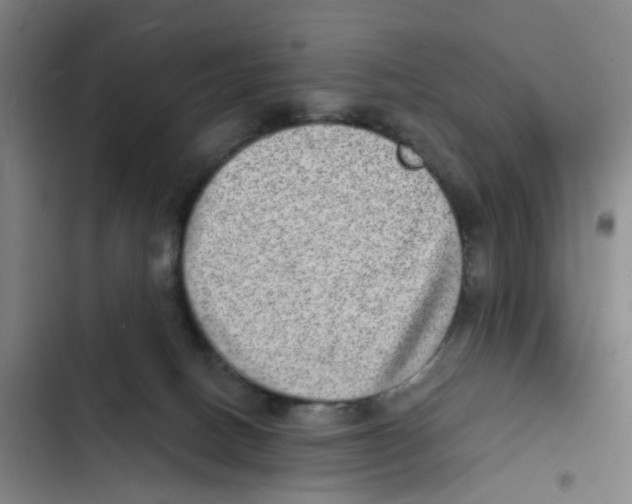 X0000102360082200808291235