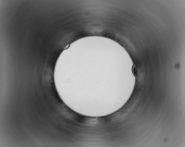 X0000102360083200808291235