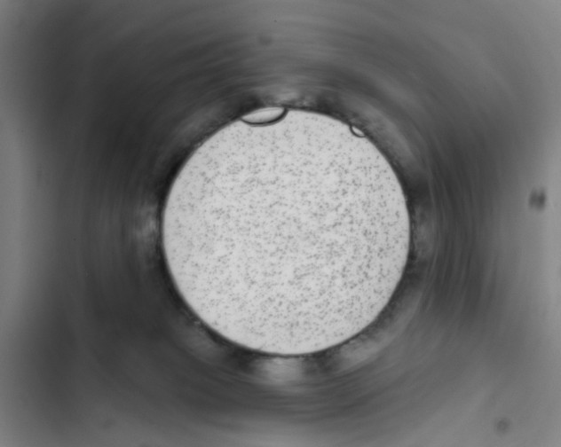 X0000102360085200808291235