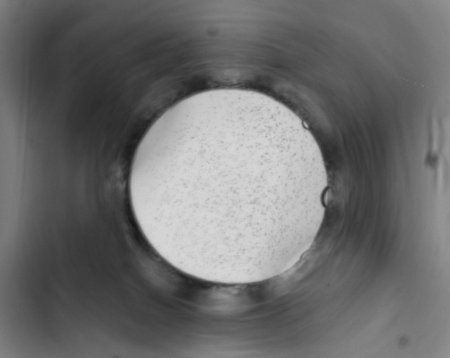 X0000102360086200808291235