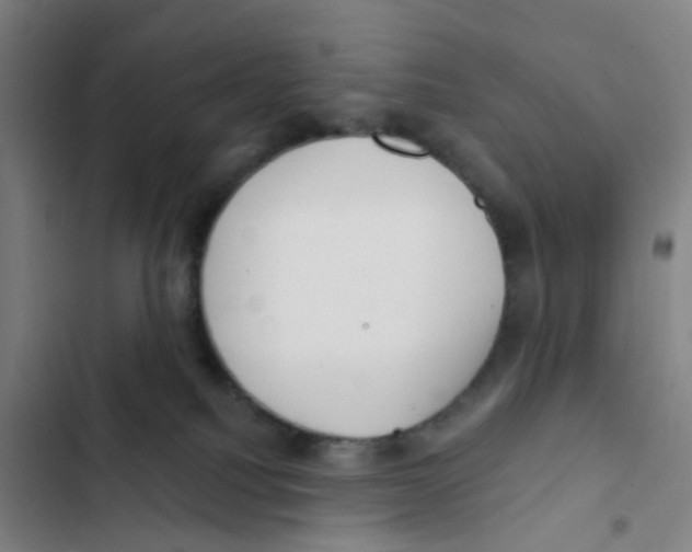 X0000102360088200808291235