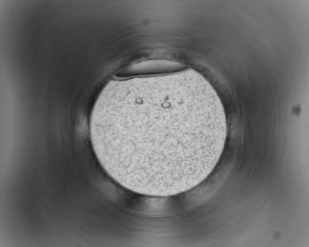 X0000102360089200808291235
