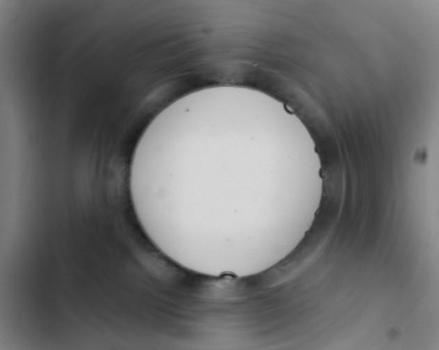 X0000102360092200808291235