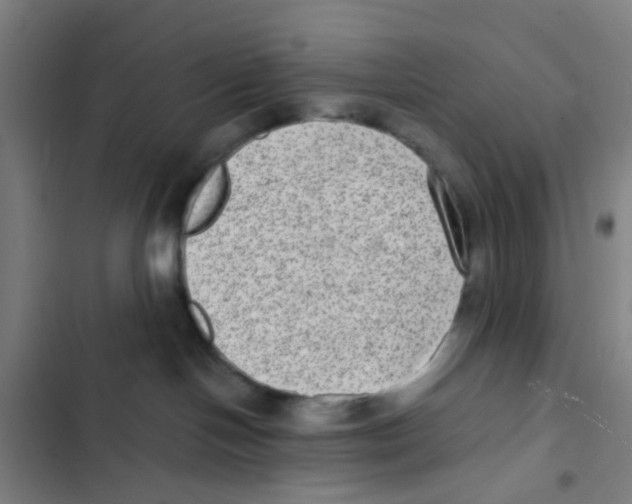 X0000102360094200808291235