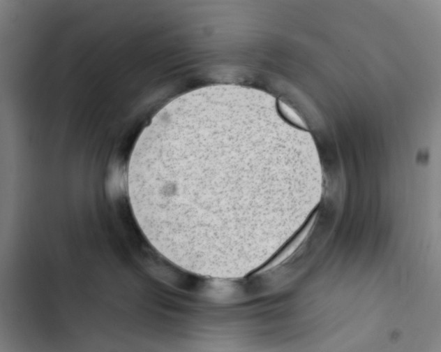 X0000102360095200808291235