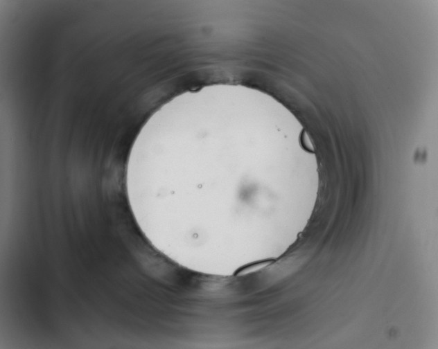 X0000102360096200808291235