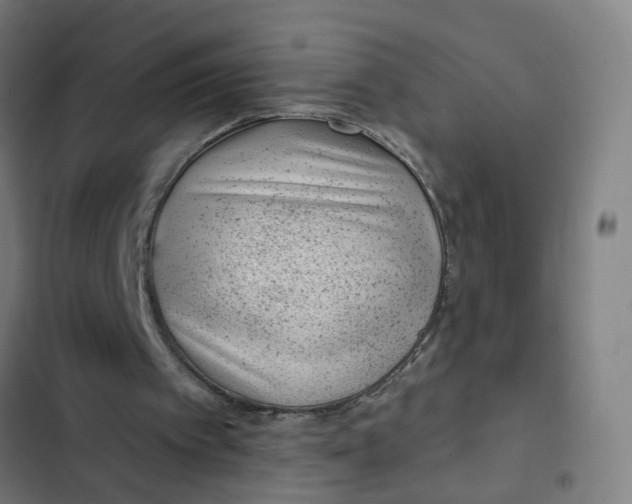 X0000102360097200808291235