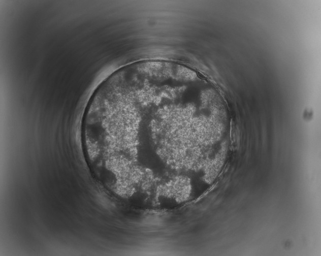 X0000102360099200808291235