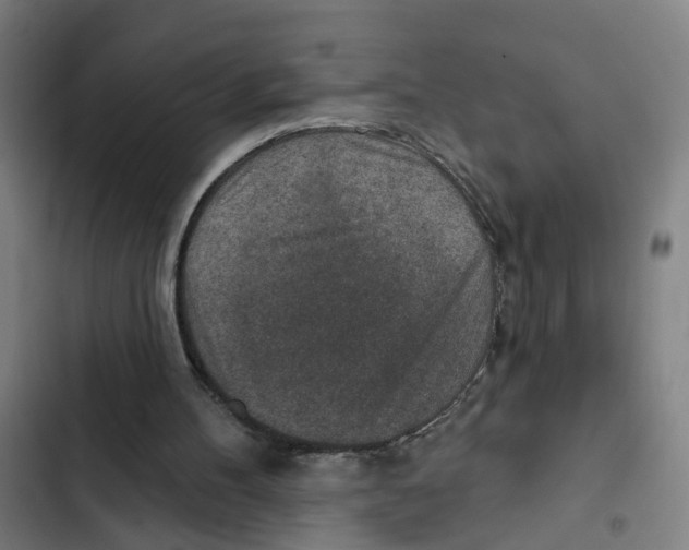 X0000102360100200808291235
