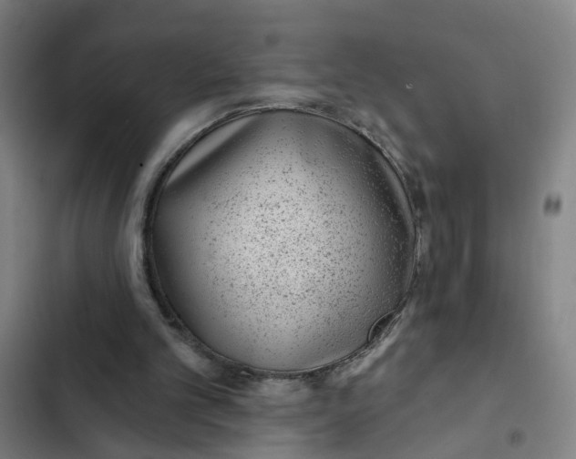 X0000102360101200808291235