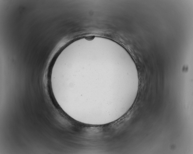 X0000102360102200808291235