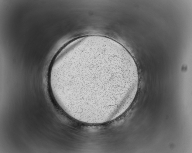X0000102360103200808291235
