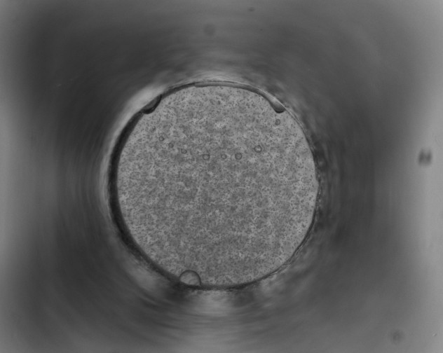 X0000102360104200808291235