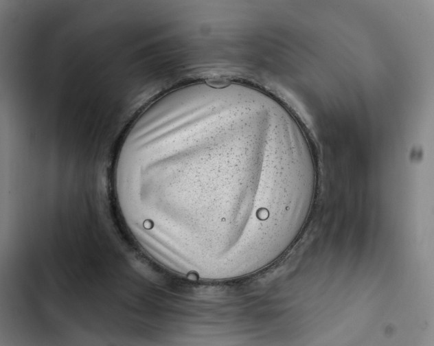 X0000102360105200808291235