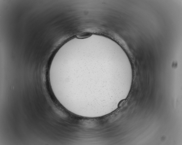X0000102360106200808291235