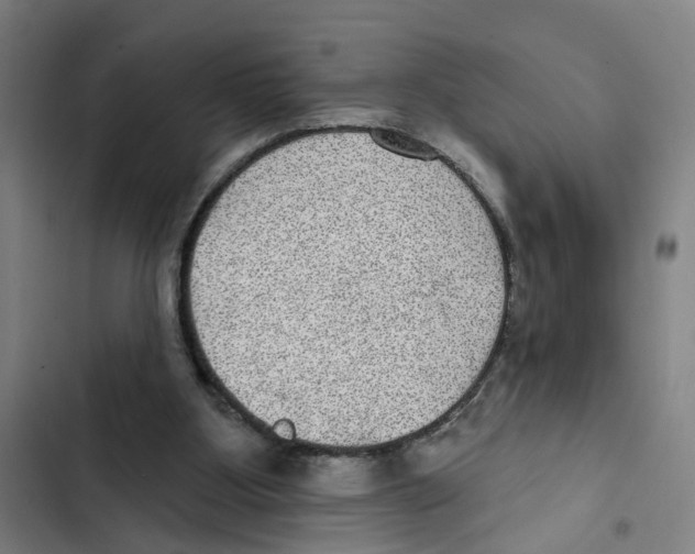 X0000102360107200808291235