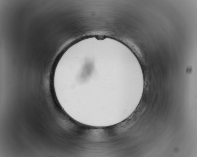 X0000102360108200808291235