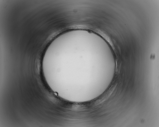 X0000102360109200808291234