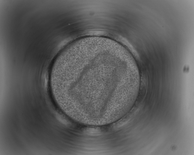 X0000102360110200808291234