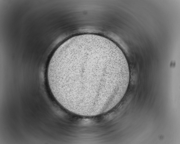 X0000102360111200808291234