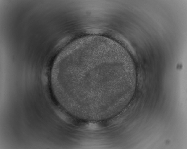 X0000102360114200808291234