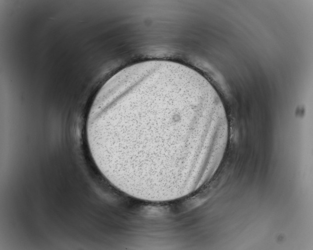 X0000102360115200808291234
