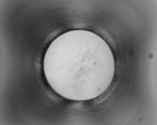 X0000102360116200808291234
