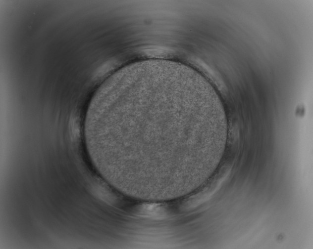 X0000102360117200808291234