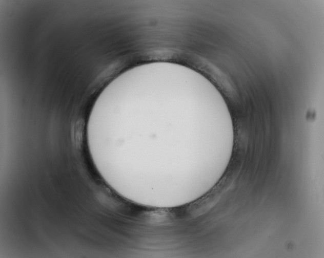 X0000102360118200808291234