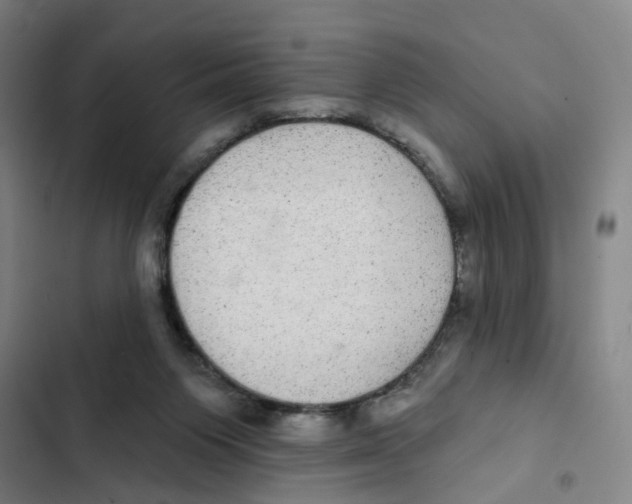 X0000102360119200808291234