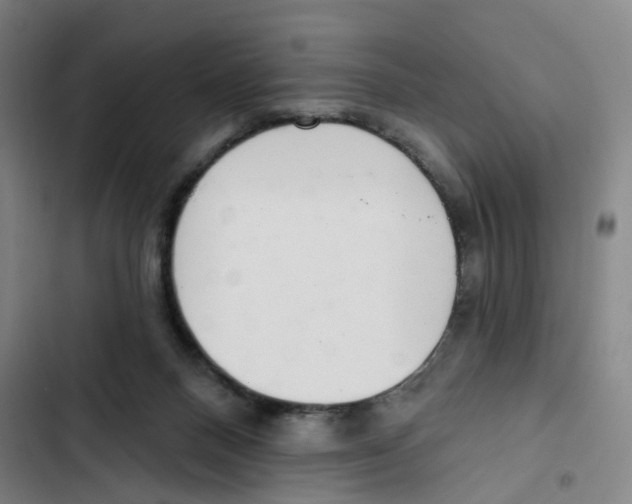 X0000102360120200808291234