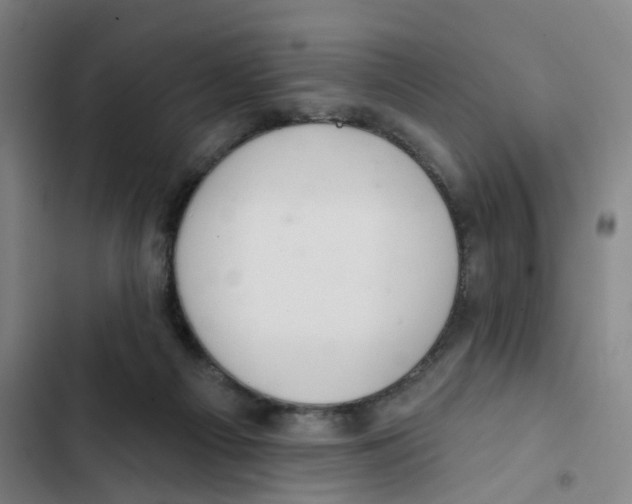 X0000102360121200808291234