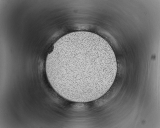 X0000102360123200808291234