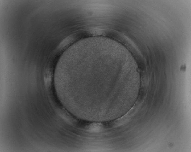 X0000102360124200808291234