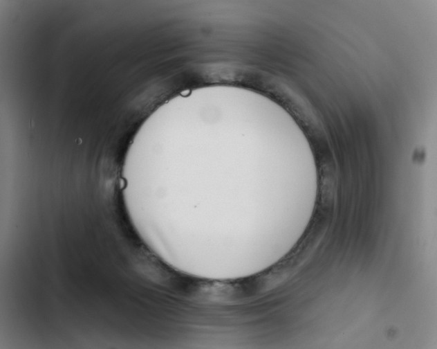 X0000102360125200808291234