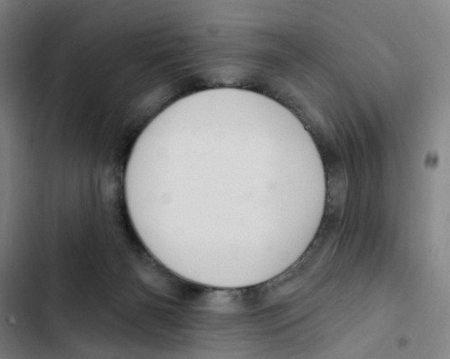 X0000102360126200808291234
