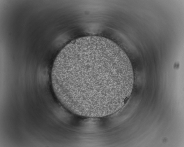 X0000102360128200808291234
