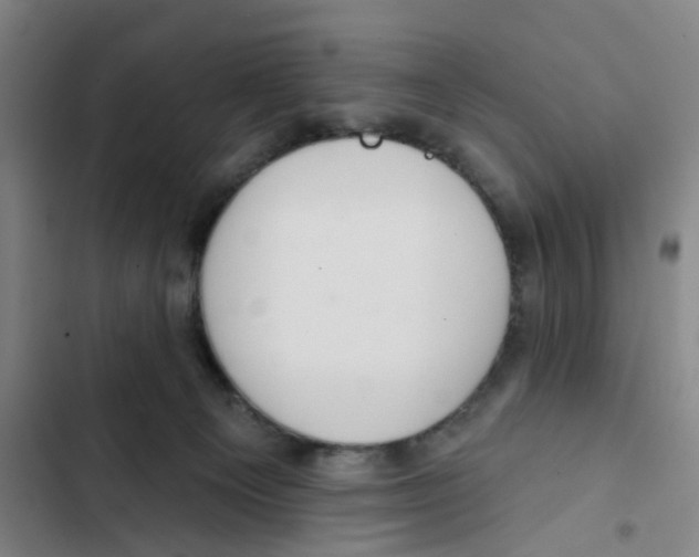 X0000102360129200808291234