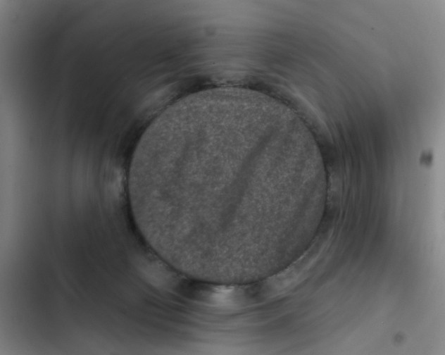 X0000102360130200808291234