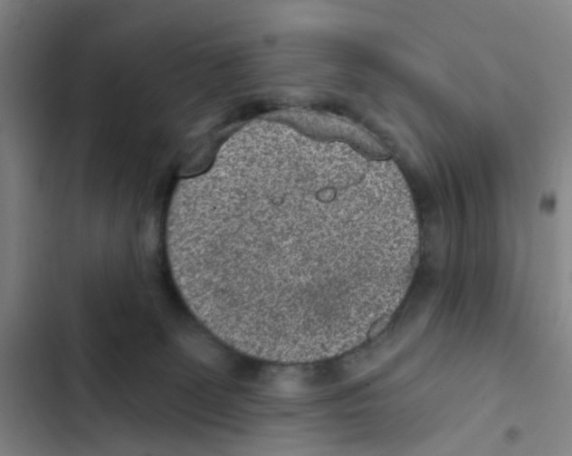X0000102360131200808291234