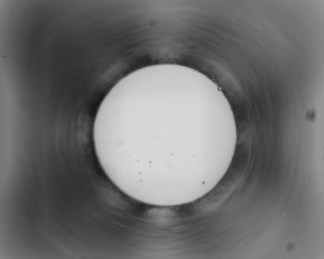 X0000102360133200808291234